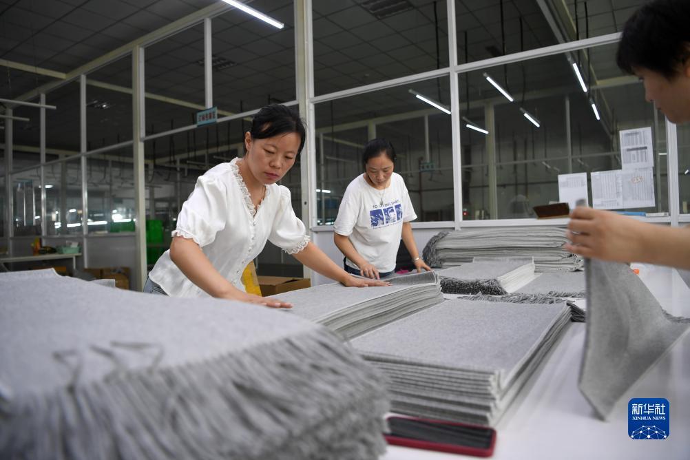 大赢家官网登录网址